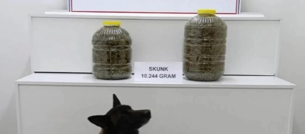 Sivas'ta Yolcu Otobüsünde 10 Kilo 200 Gram Uyuşturucu Ele Geçirildi