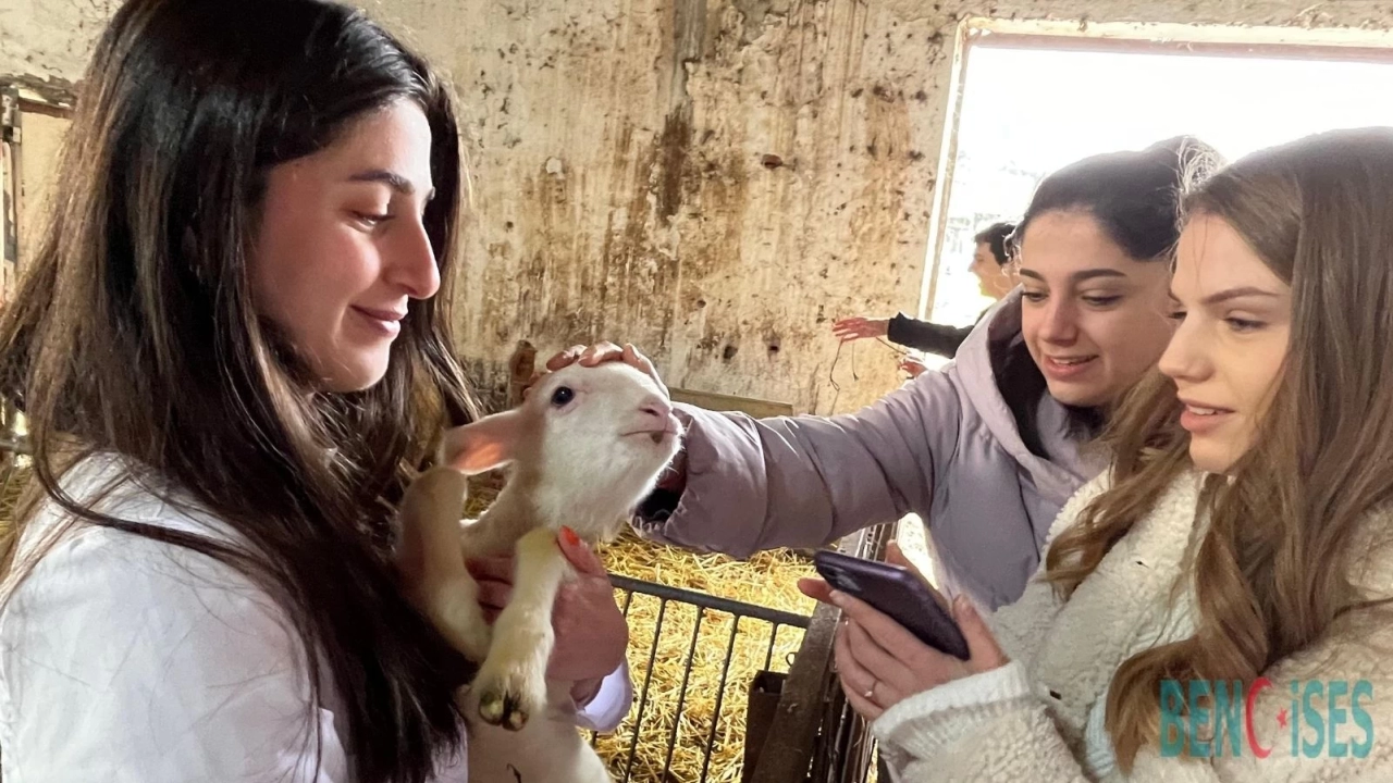 BAÜN Fakültesi Veterinerlik Öğrencileri: Yetiştirme Çiftliğinde Pratik Kazanıyor.