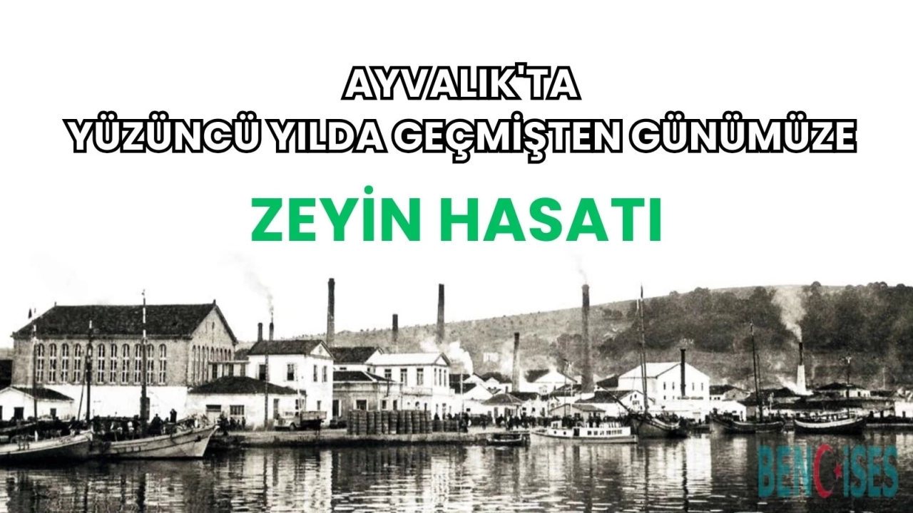 Cumhuriyetimizin yüzüncü yılında geçmişten günümüze Ayvalık’ta; Zeytin Hasatı,