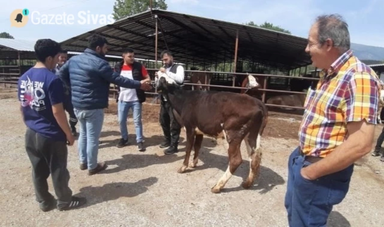 Kurban pazarında durgunluk hayvancıların canını sıktı