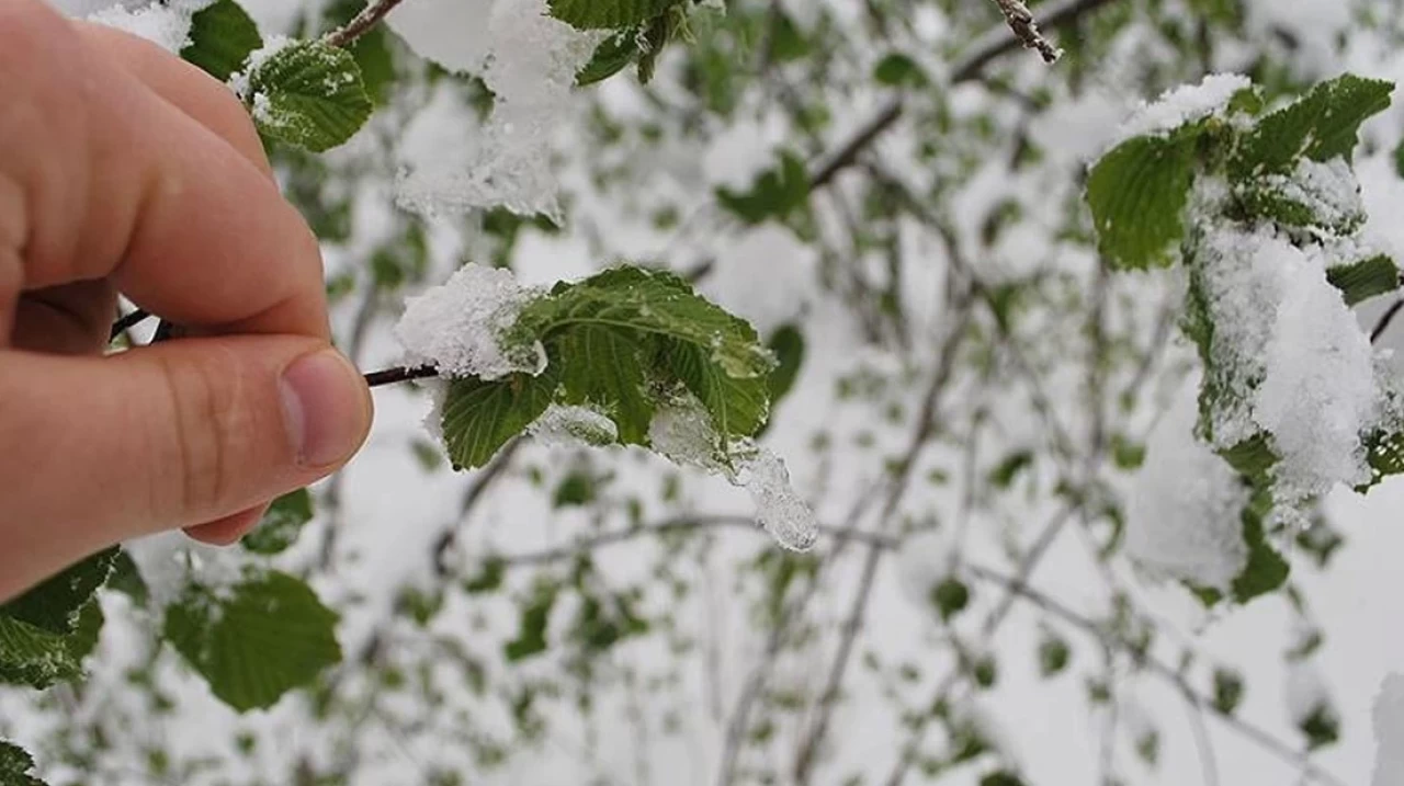 Kayseri'de Kar Yağışıyla Birlikte Buzlanma ve Don Riski!