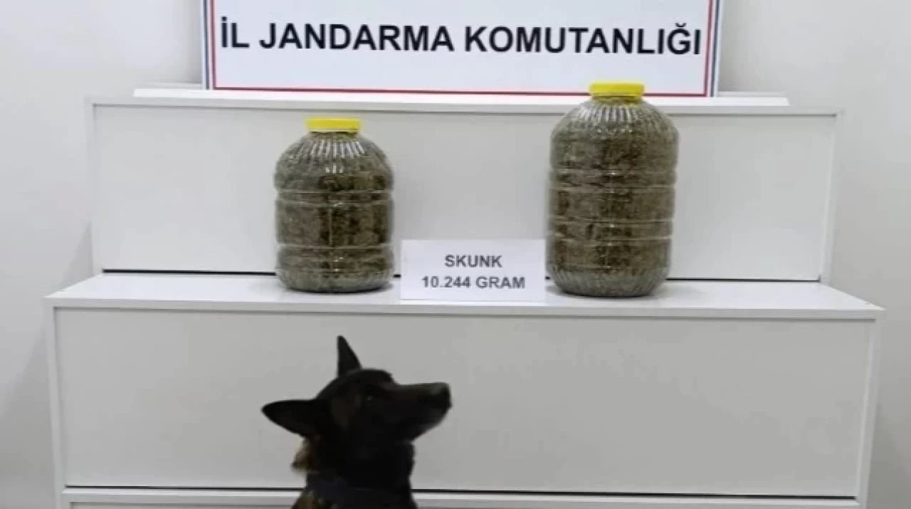 Sivas'ta Yolcu Otobüsünde 10 Kilo 200 Gram Uyuşturucu Ele Geçirildi