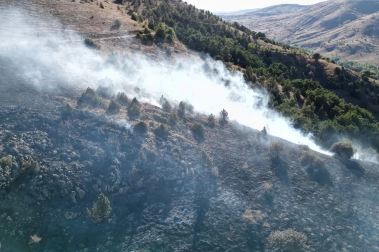 Sivas Yıldızeli'nde Çıkan Orman Yangını 2 Saatte Kontrol Altına Alındı