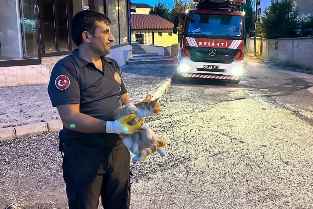 Sivas'ta Havalandırma Boşluğuna Düşen Yavru Kedi Kurtarıldı