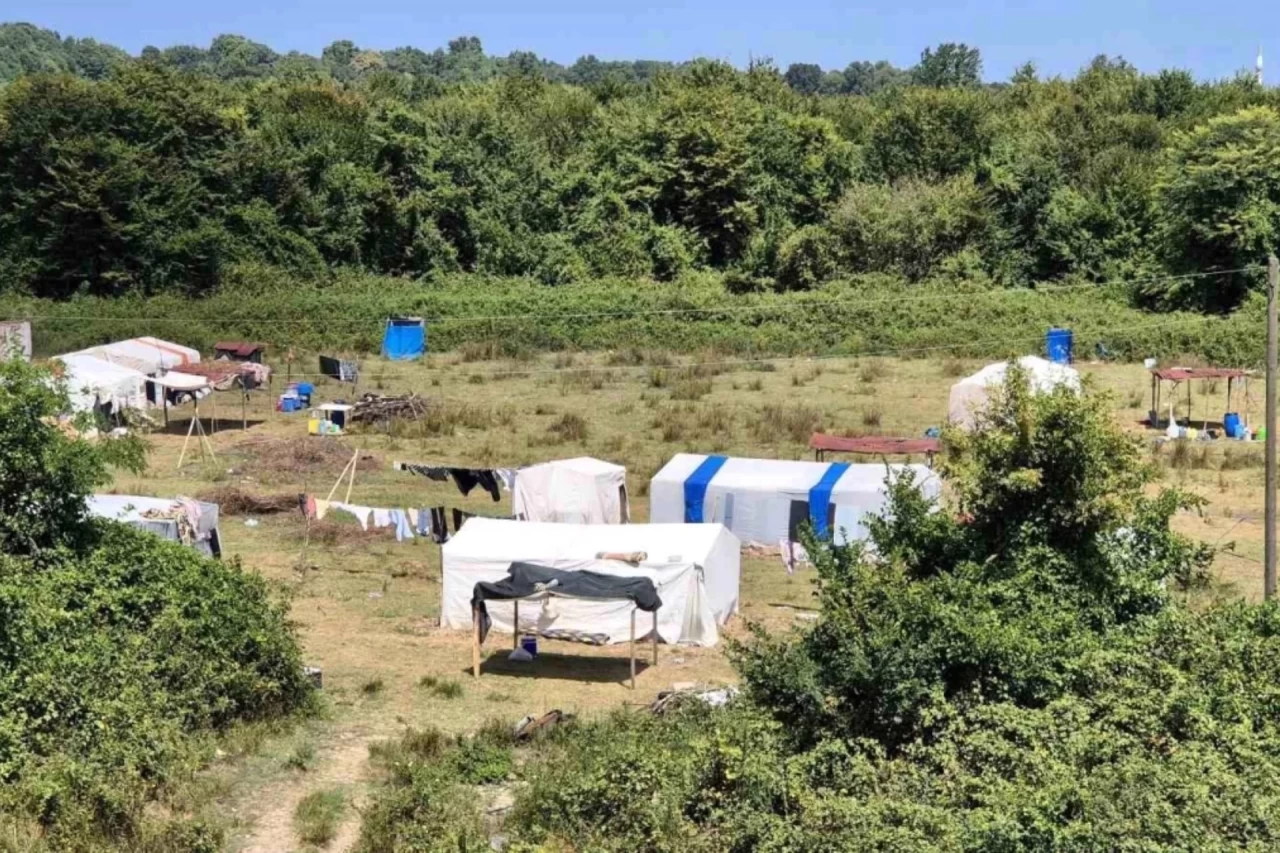 Samsun'a Fındık Toplamaya Gelen Mevsimlik İşçiler, Çadırlarda Yaşamlarını Sürdürüyor