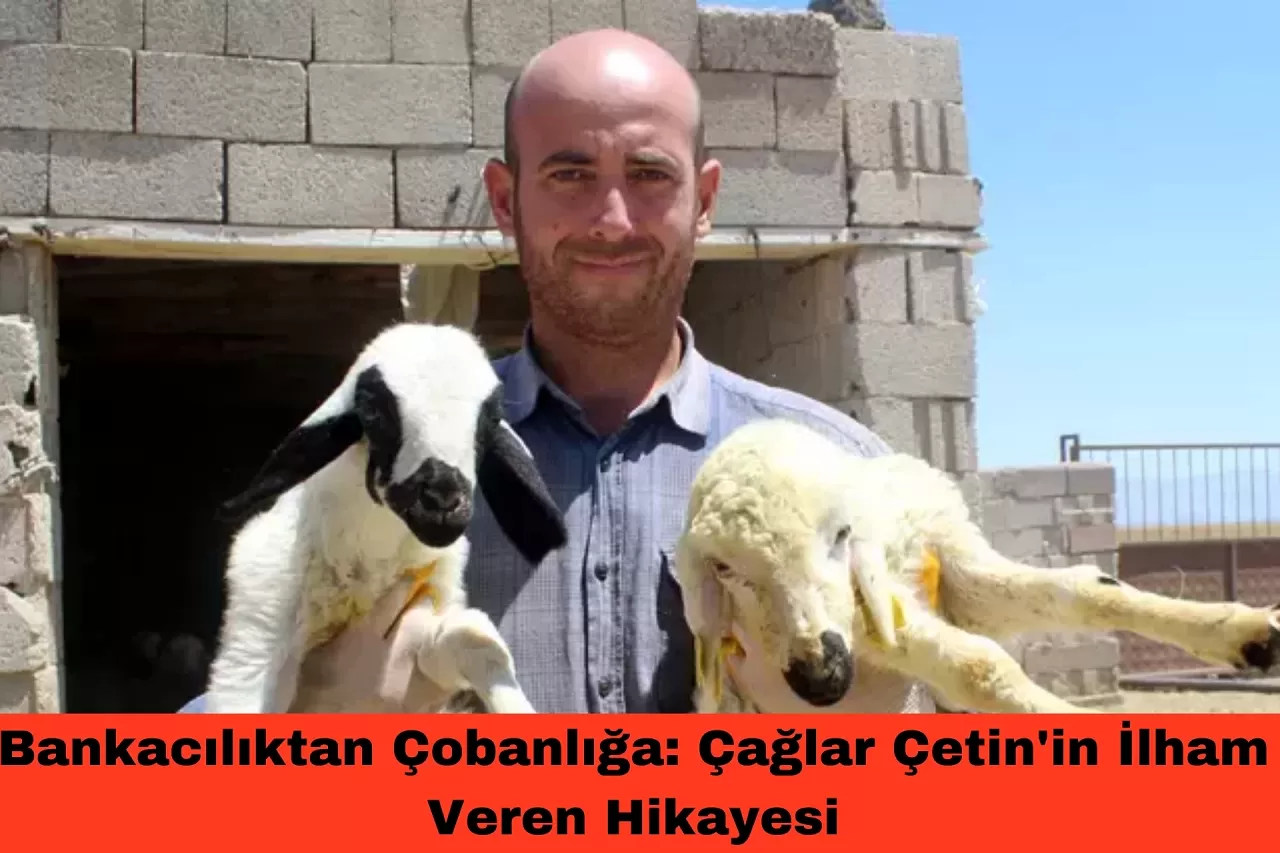 Bankacılıktan Çobanlığa: Çağlar Çetin'in İlham Veren Hikayesi