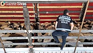 Tırlar Tek Tek Durduruldu: Kurban Sevkiyatı Sıkı Denetim Altında Gerçekleşiyor