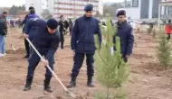 Sivas'taki Orman alanı genişledi