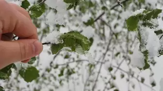 Kayseri'de Kar Yağışıyla Birlikte Buzlanma ve Don Riski!