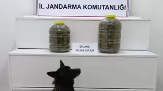 Sivas'ta Yolcu Otobüsünde 10 Kilo 200 Gram Uyuşturucu Ele Geçirildi