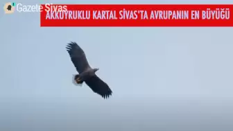 Avrupa'nın En Büyüğü, Sivas'ın Göbeğinde Bulundu!