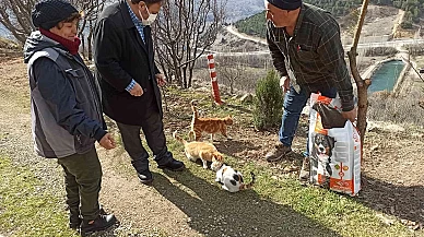 Sokak hayvanları için unutulmaz bir jest: 1 ton mama dağıtıldı!