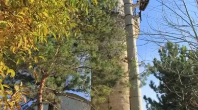 Sivas'ta Bulunan Ali Baba Camii'nin Tarihi ve Mimari Yapısı Detaylı Bir Şekilde İncelendi.