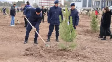 Sivas'taki Orman alanı genişledi