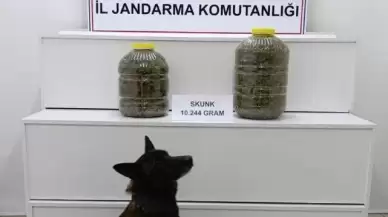 Sivas'ta Yolcu Otobüsünde 10 Kilo 200 Gram Uyuşturucu Ele Geçirildi