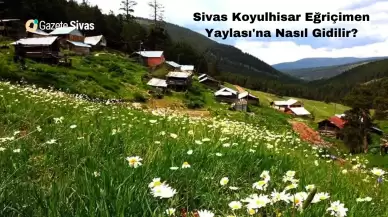 Sivas Koyulhisar Eğriçimen Yaylası'na Nasıl Gidilir?