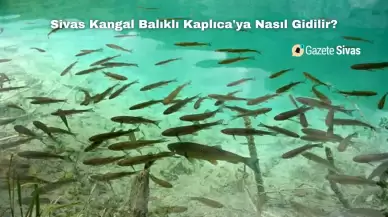 Sivas Kangal Balıklı Kaplıca'ya Nasıl Gidilir?