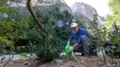 Sivas Dahil 18 Şehirde Fidan Dikim Etkinliklerinde Gönüllü Olarak Görev Alan Aydın, Doğa Sevgisini Aşılıyor