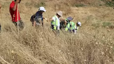 Diyarbakır'da Kayıp Narin Güran'ı Arama Çalışmaları Devam Ediyor: Amca Gözaltında