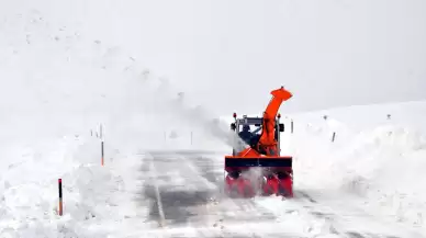 Doğu Anadolu'da Kar Yağışı: Van, Muş ve Hakkari'de Ulaşım Kapalı!