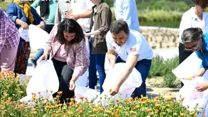 Gazi Köylerde Şifa Çiçekleri Açıyor Projesi'nde ilk hasat sevinci..