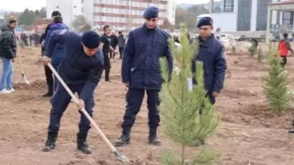 Sivas'taki Orman alanı genişledi