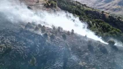 Sivas Yıldızeli'nde Çıkan Orman Yangını 2 Saatte Kontrol Altına Alındı