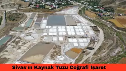 Sivas'ın Kaynak Tuzu Coğrafi İşaret Tescili Yolunda