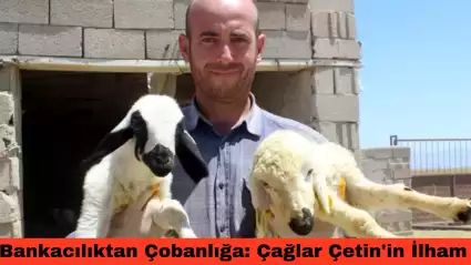 Bankacılıktan Çobanlığa: Çağlar Çetin'in İlham Veren Hikayesi