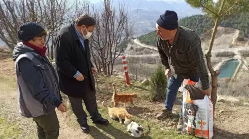 Sokak hayvanları için unutulmaz bir jest: 1 ton mama dağıtıldı!