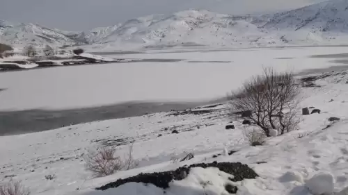 Sivas'ta Yıldız Göleti'nde Kışın Etkisi: Buz Tabakası Oluştu