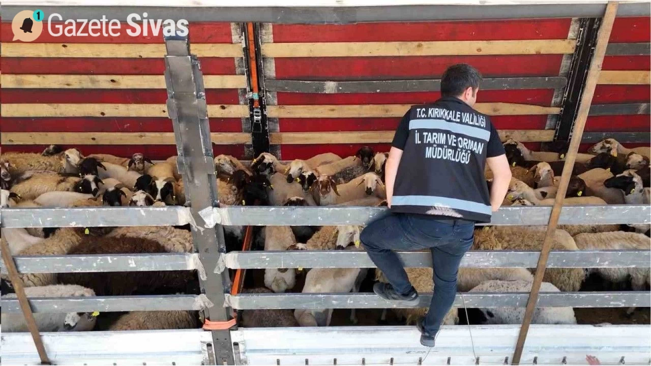 Tırlar Tek Tek Durduruldu: Kurban Sevkiyatı Sıkı Denetim Altında Gerçekleşiyor