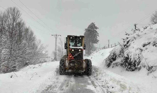 Ordu'da Kar Kalınlığı Rekor Seviyeye Ulaştı: 50 Santimetreyi Aştı!