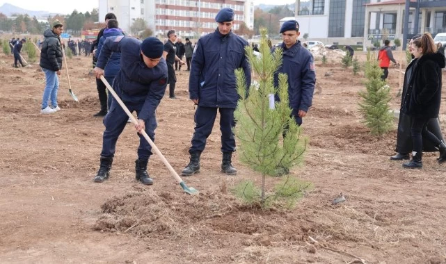 Sivas'taki Orman alanı genişledi