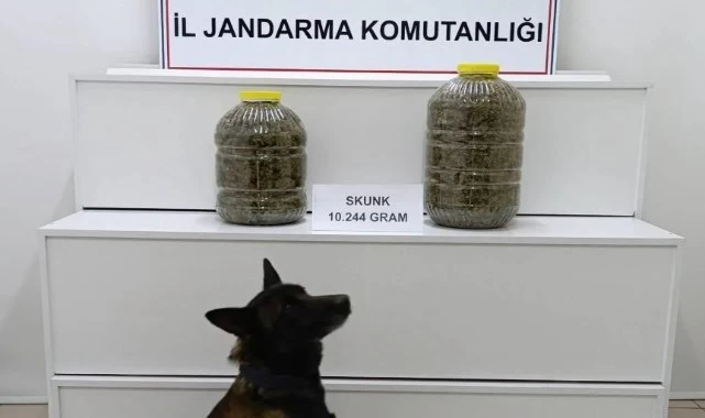 Sivas'ta Yolcu Otobüsünde 10 Kilo 200 Gram Uyuşturucu Ele Geçirildi