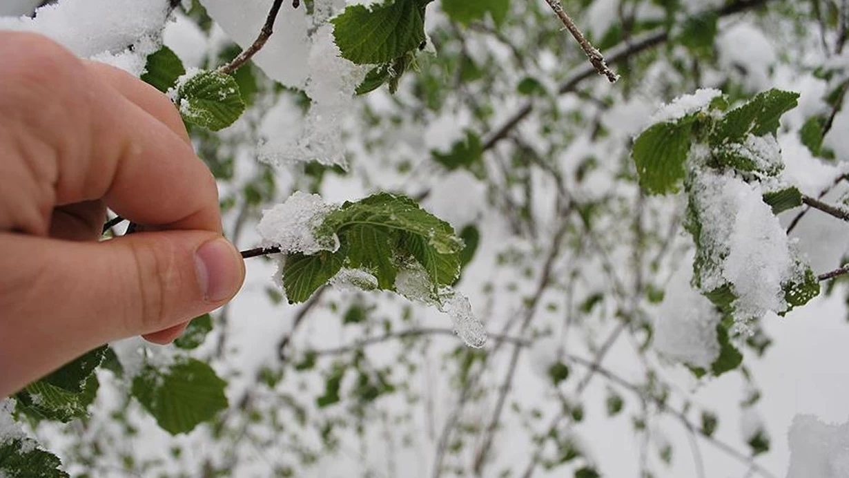 Kayseri'de Kar Yağışıyla Birlikte Buzlanma ve Don Riski!