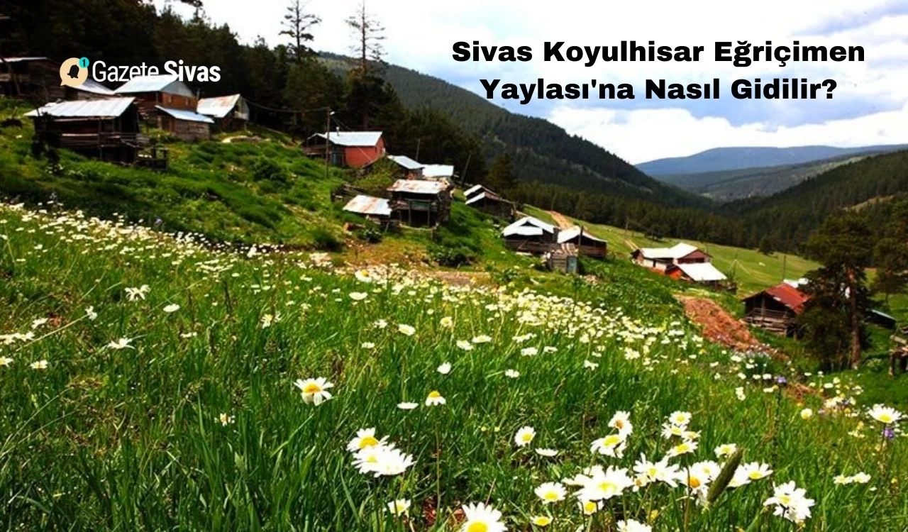 Sivas Koyulhisar Eğriçimen Yaylası'na Nasıl Gidilir?