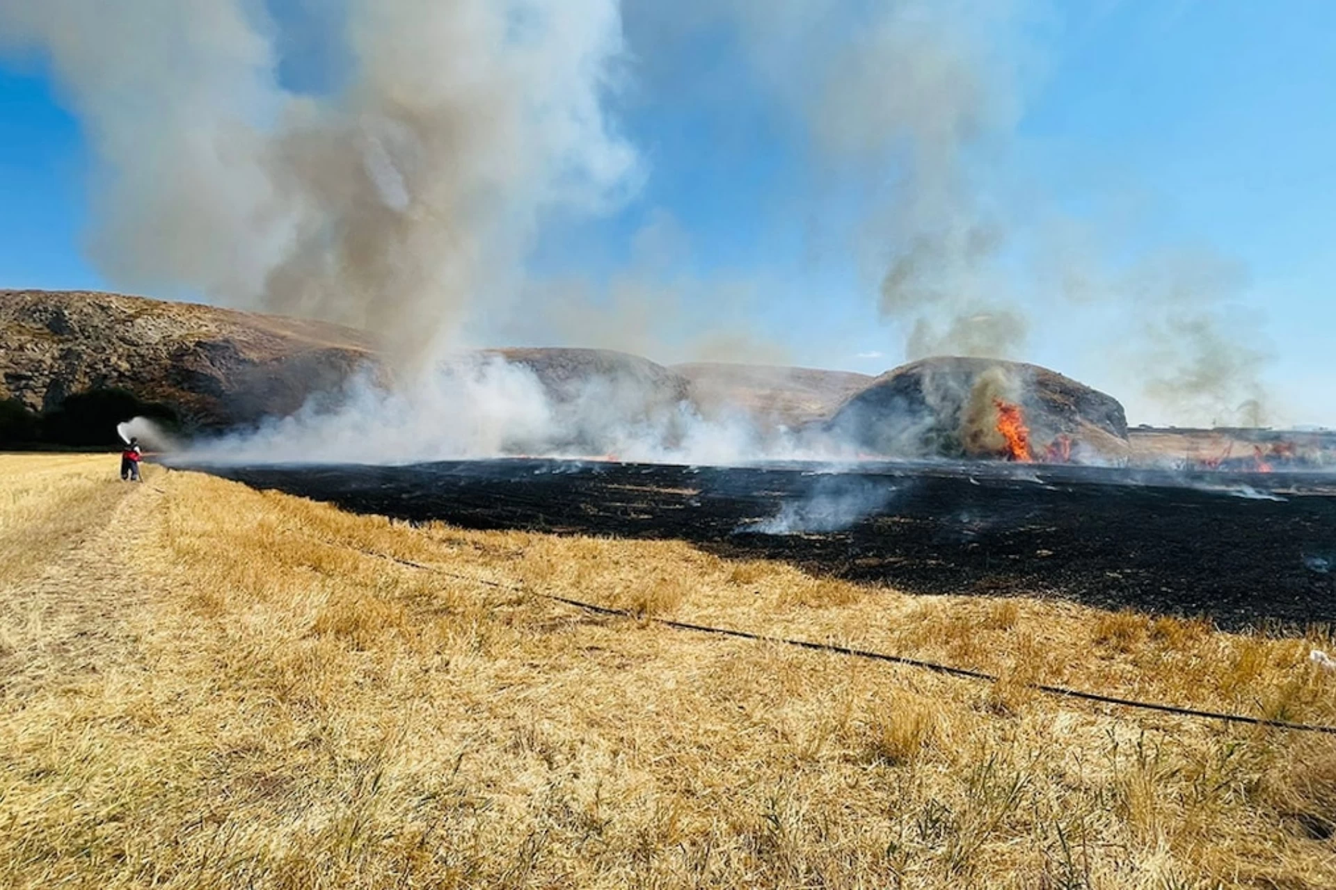 Sivas Şarkışla'da Buğday Tarlasındaki Yangın Korkuttu