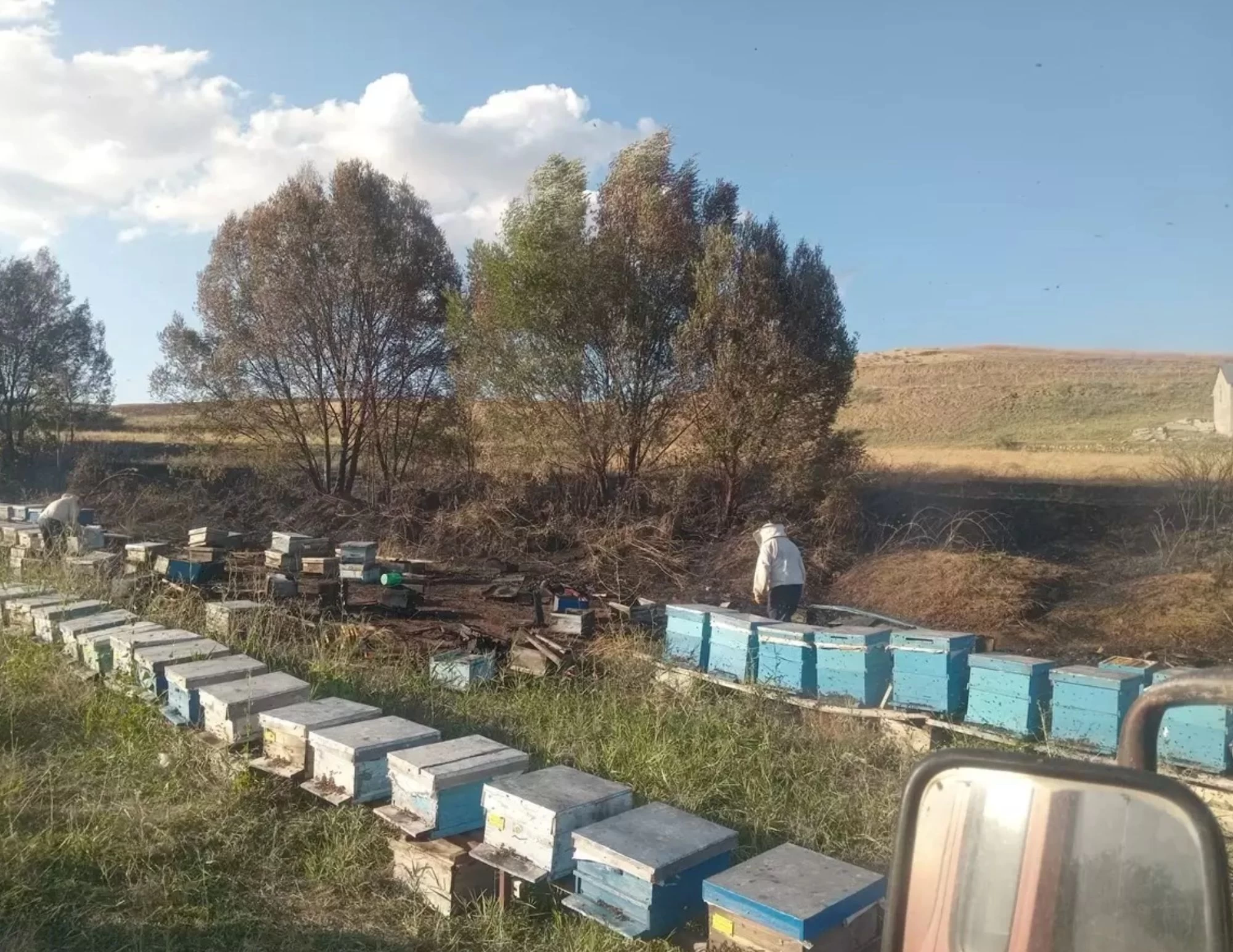 Suşehri'nde Anız Yangını: 40 Arı Kovanı Zarar Gördü, Arıcı Yaralandı